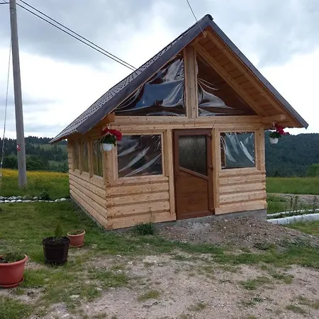Casa David