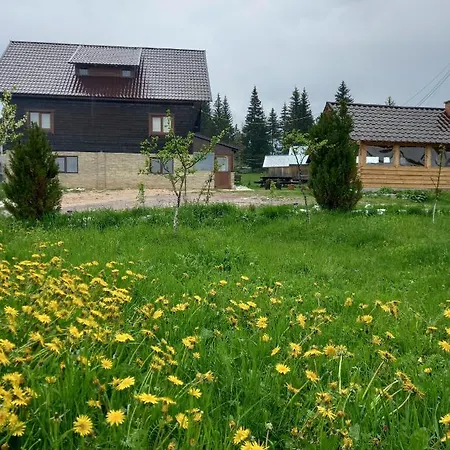 Casa David Holiday home Girda de Sus